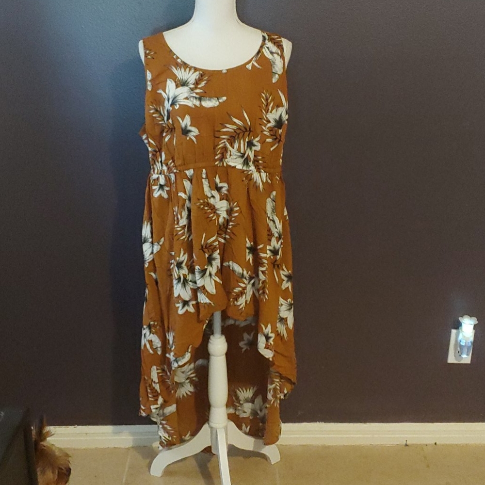 Torrid Top